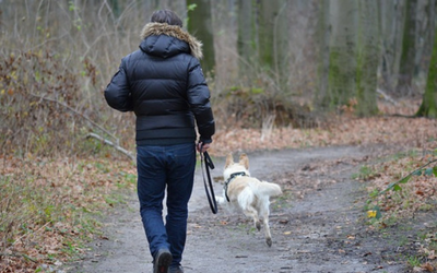 image for How Your Pets Can Help You Stick to Your New Year’s Resolutions